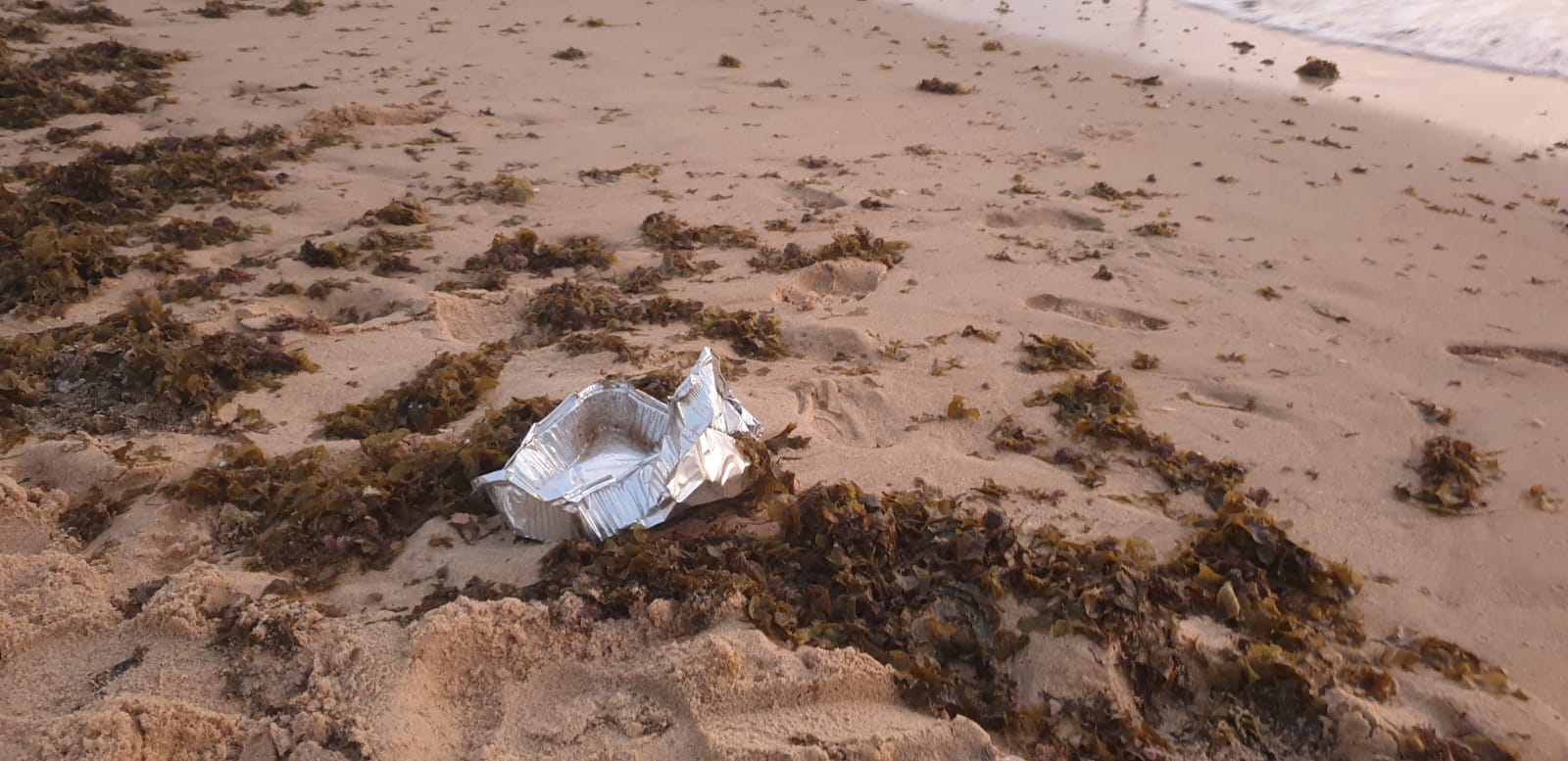 WhatsApp Image 2020-08-03 at 7.58.26 PM (2).jpeg.jpeg